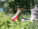 cimg5651