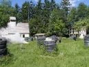 p6040546