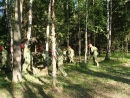 p5251499